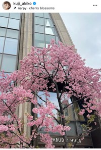 久慈暁子アナのインスタグラム＠kuji_akikoより