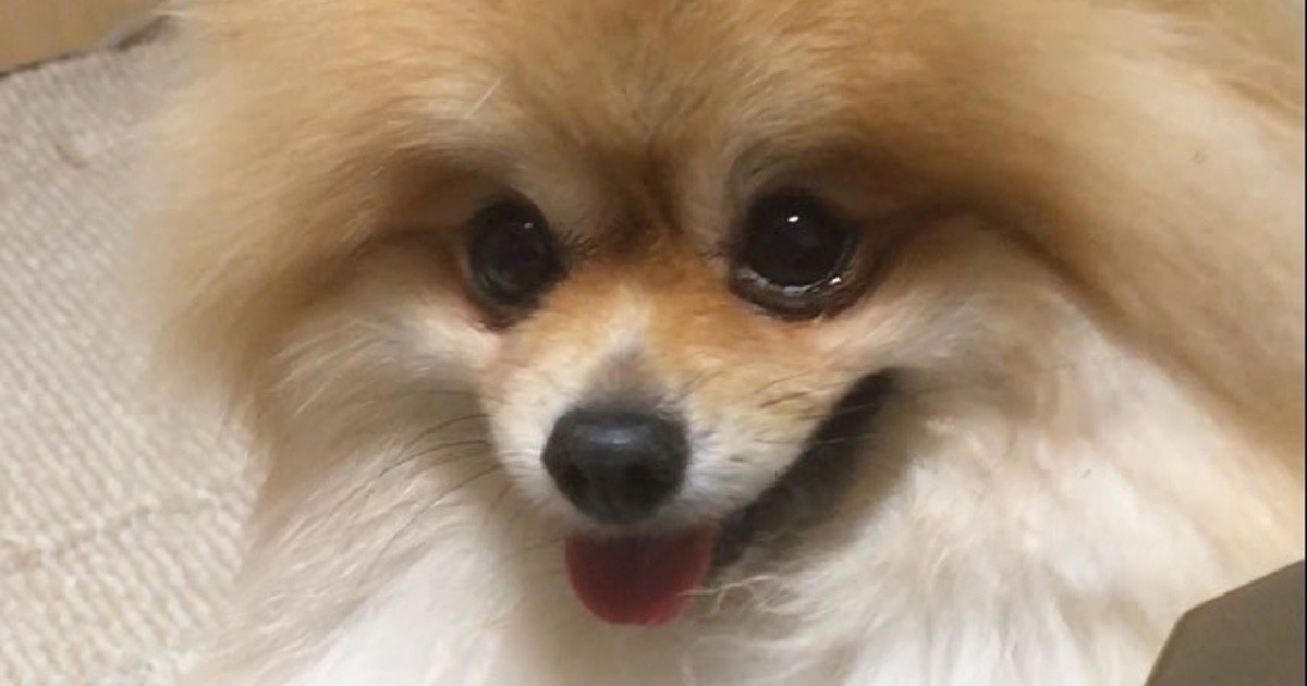 ec44eba38b10cad56eb4044b66d114