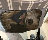 どういうこと…？笑＝ササミんさん（@wanwanmaturi）提供