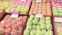 京都の味と工芸品を一堂に　岡山市のデパートで物産展