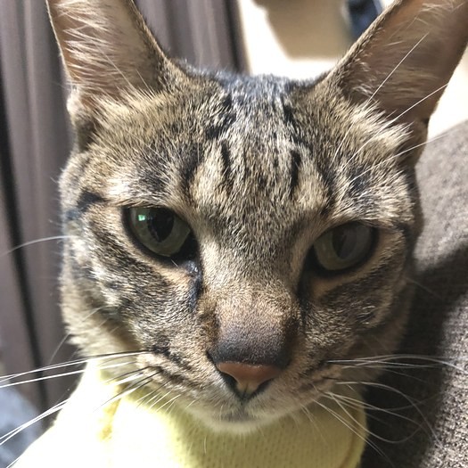 「どう、可愛いでしょ？」