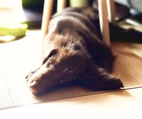 神経障がいが残るものの、奇跡な回復を遂げてくれました