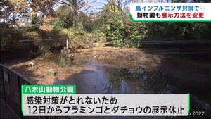 鳥インフルエンザ対策　仙台市八木山動物公園では一部鳥類の展示を休止
