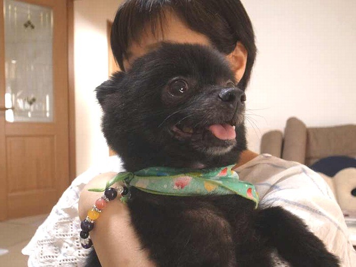 愛犬家の宮本さんに出会って幸せ