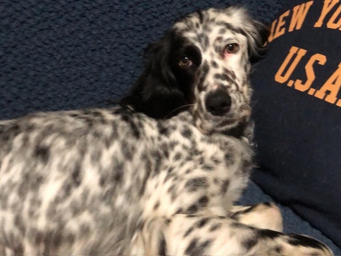 「おうちではソファが一番だわ」