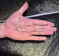 「後方にある銀色のものが内臓核です」（かとたくさん）（画像提供：かとたくさん）