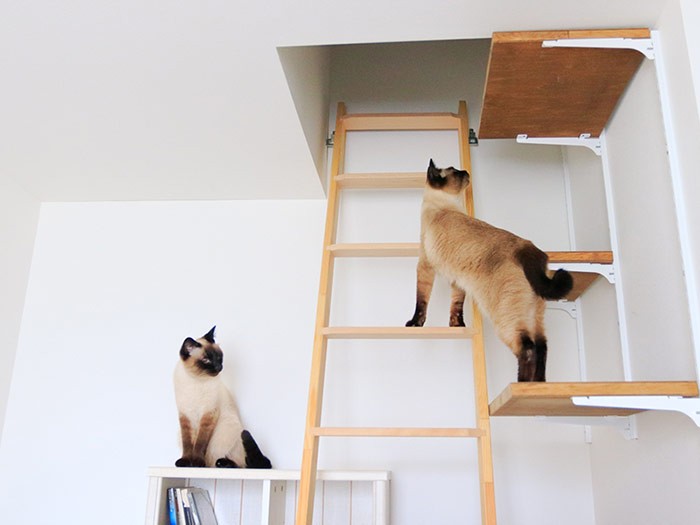 屋根裏部屋へと続く階段。