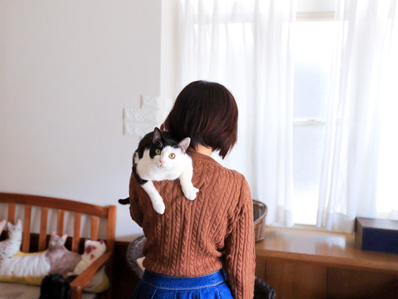 ジロウは肩乗り猫であった。