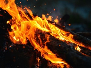 入る会社を間違えたのではない。会社に入ることが間違いだったのだ