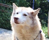 もえちゃんに注がれる光が、今後の幸せを予感させます