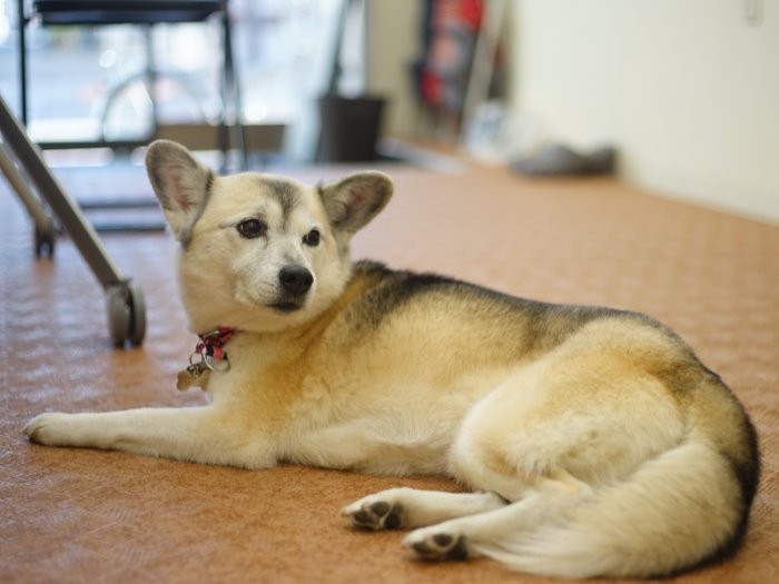 相談室でくつろぐすな