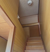 広くて部屋がたくさんある新居でかくれんぼ中のねねちゃん（提供：なつめ さん）