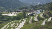小豆島町の「中山千枚田」（香川県提供）