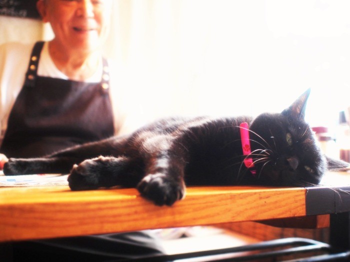 新聞紙の上にドサッと寝そべって「新聞よりアタシを見て」