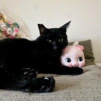 女子にふられっぱなしなんだ