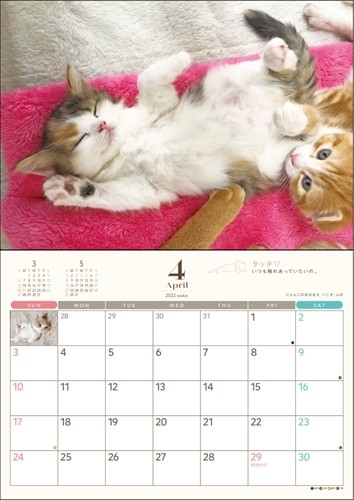 ４月、新学期スタートのへそ天（へそ天プロジェクト提供）