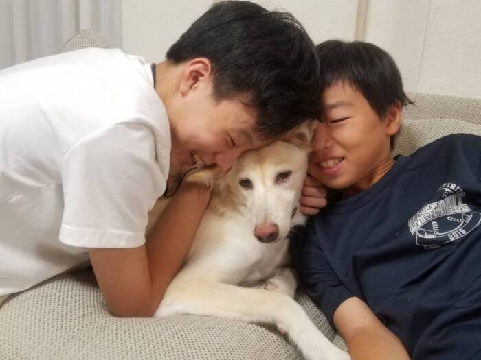 新しい家族でお兄ちゃん達に愛されているキナリ。お兄ちゃんたち、本当に優しいの