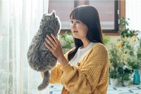 ミャウエバーのおかげで、落ち込んだり、疲労感や無気力を感じたりすることが減ったという声も多い