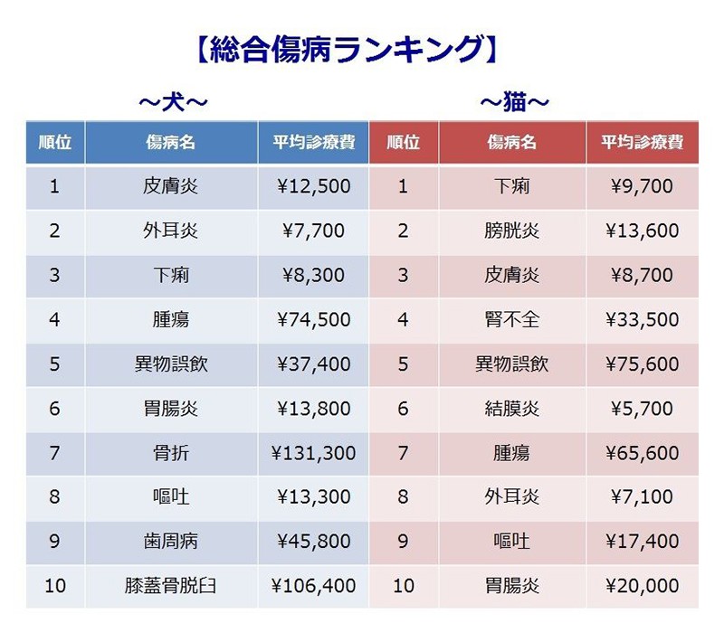 犬は皮膚炎 猫は下痢が1位 犬猫の傷病 治療費のランキング 犬 猫との幸せな暮らしのためのペット情報サイト Sippo