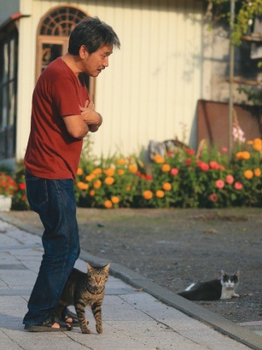 雪子さんの工房の軒下には野良猫２匹も住んでいる。トラスケのみ仲がいいとのこと