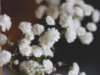 初めての雪なのに熱が出た。ふてくされる私たちに母が見せてくれた愛