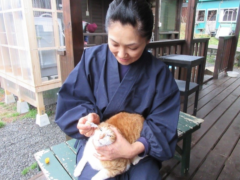 保護施設で猫に目薬をさす塩田さん　（塩田さん提供）