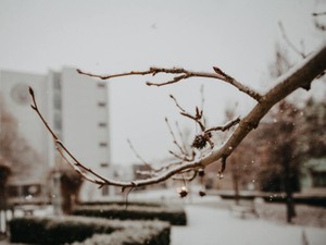 塾でバイトがしたい。将来に希望がなかった私が密かに抱えていた夢