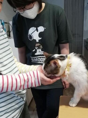 トライアル初日　（ねこかつ提供）