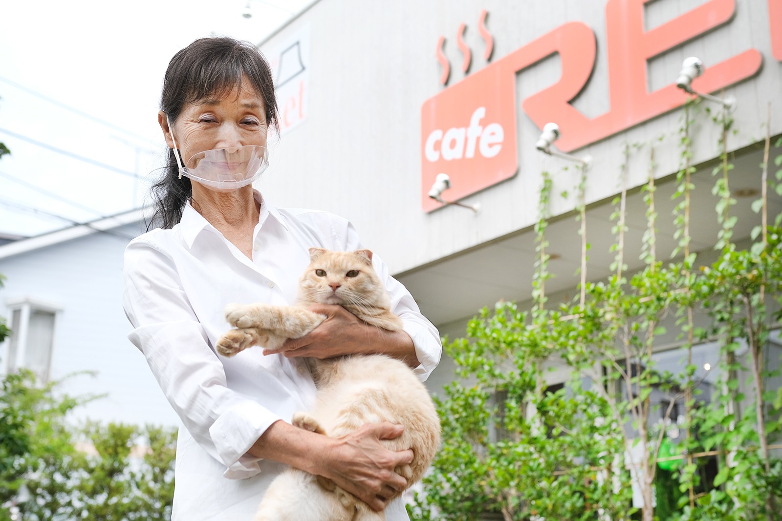 迷い猫からカフェの看板猫に 癒しのマスコット ゆうちゃんとオーナーの絆 ほ とせなnews