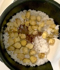 炊きあがり。なんかいい感じじゃないですか…（大野左紀子さん提供）