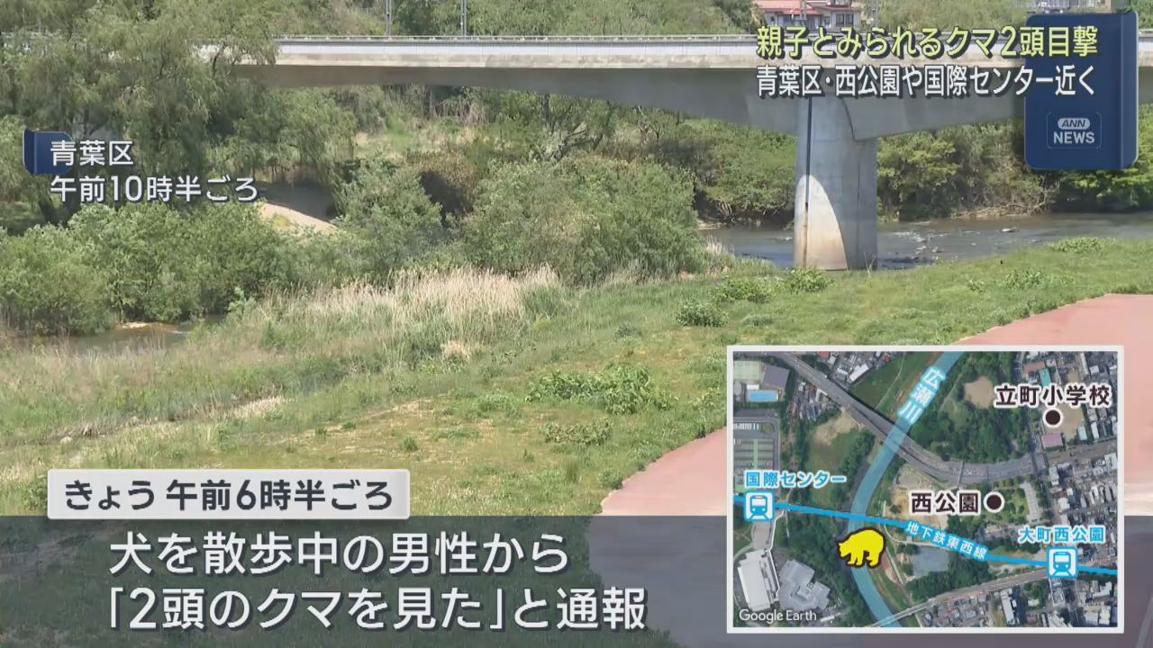 仙台・西公園近くの河川敷でクマ２頭の目撃情報　親子とみられる