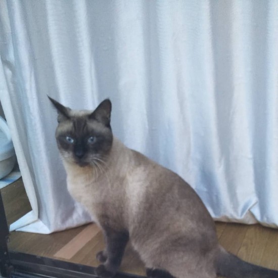 凛々しい姿を見せることも