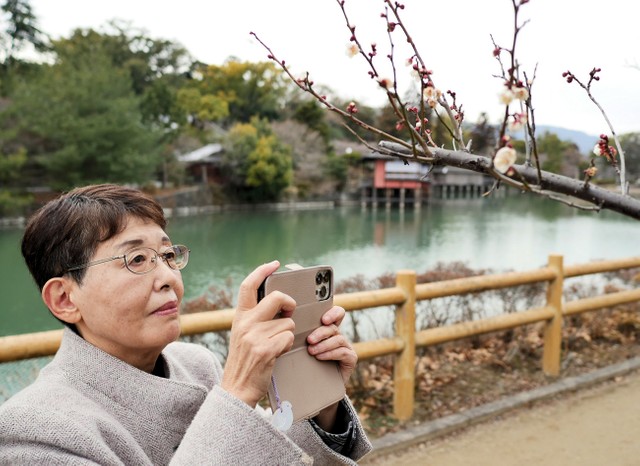 自分が感動した風景を紹介しようとスマホで撮影する百瀬さん（長岡京市天神２丁目）