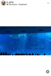 ケイナ（@k_ayna）さんのインスタグラムより