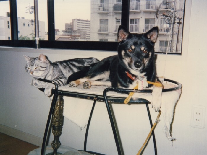 大の仲良しだったクリスとネネ。まさか同じ日に一緒に旅立つなんて…どんだけ仲良しなの、あんたたち