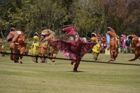 翼を広げて走るプテラノドン／日本ティラノサウルス保存会（@TREXraceDAISEN）提供