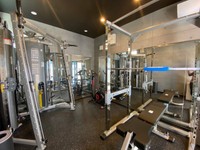 本格的なマシンがズラリと並んでいる
