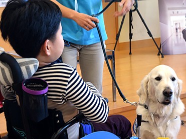 病の子によりそう「ファシリティードッグ」、絵本に！