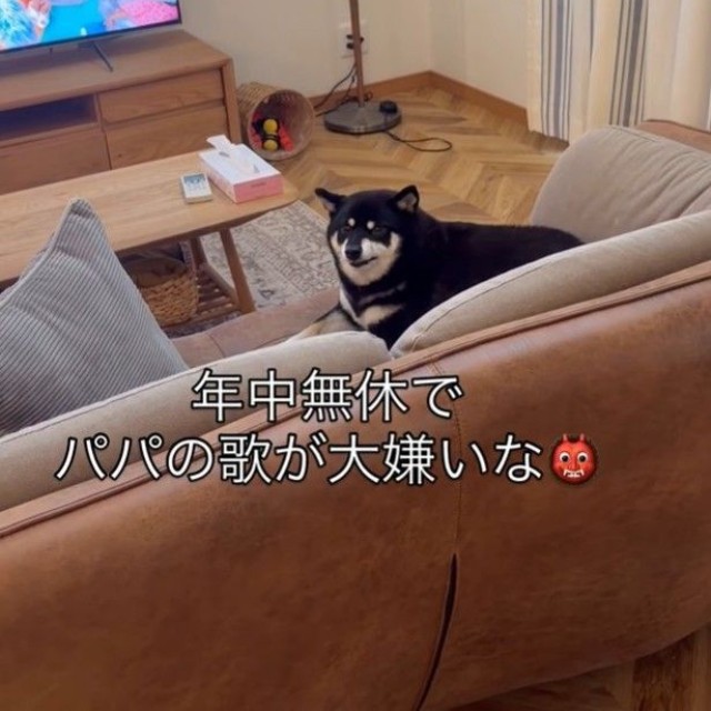 パパが歌い始めると・・・（パパさん提供、Instagramよりキャプチャ撮影）