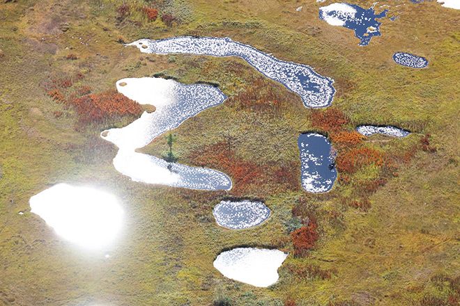 La zone humide d'Ozegahara brille dans les teintes dorées des herbes d'automne 2 20261006-oze-3-L