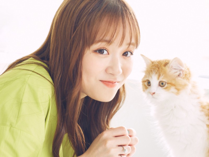 自分もどちらかというと猫っぽい性格だとか