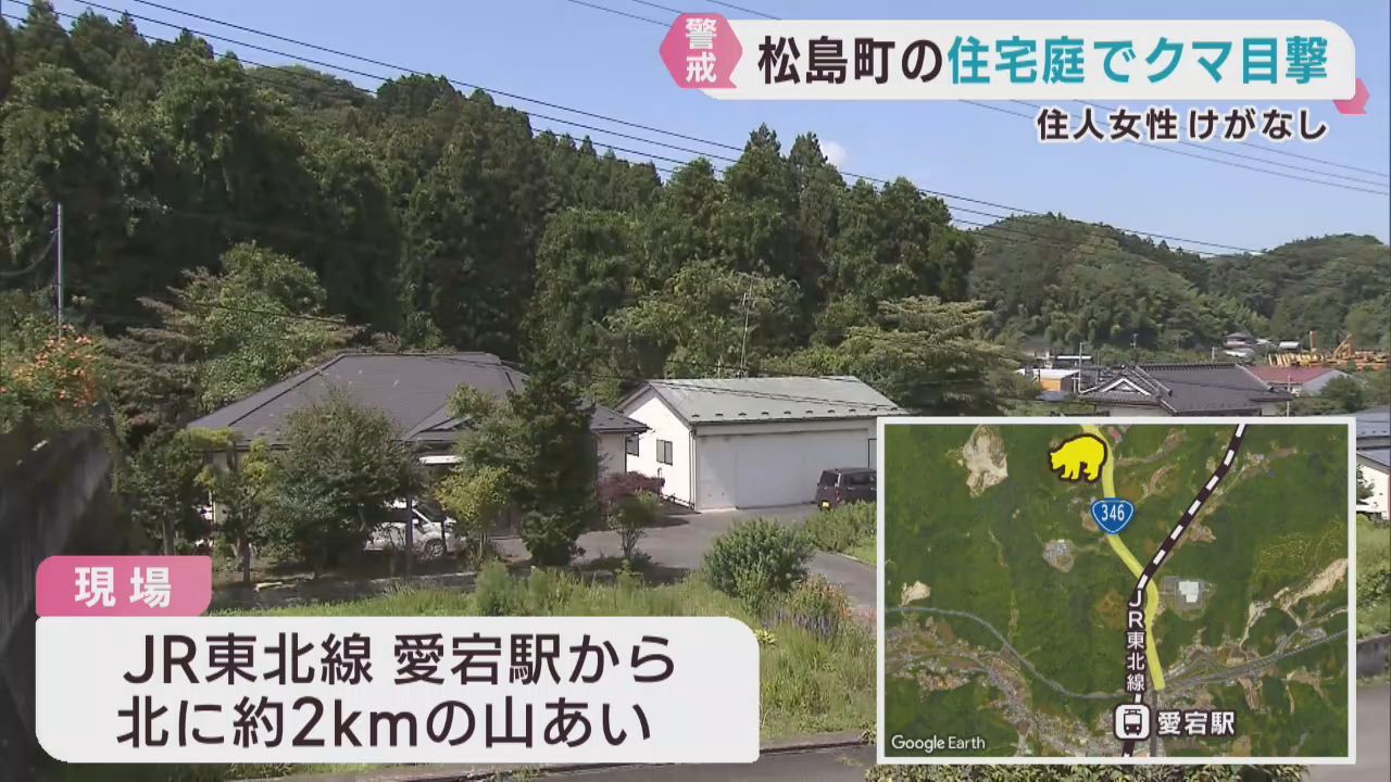 住宅の庭でクマを目撃　けが人は無し　宮城・松島町