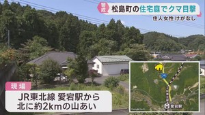 住宅の庭でクマを目撃　けが人は無し　宮城・松島町