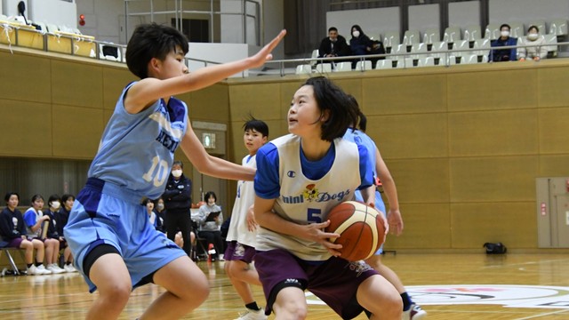 アステム湘南AVENIR―ミニドッグス