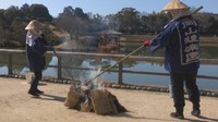岡山後楽園に春の訪れ告げる「松のこも焼き」 越冬した虫を駆除