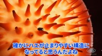 近くで見ると迫力があります。