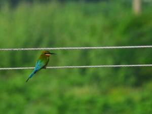 「いつかはパパに」なんてよく言えるね。セフレの私が思う幸せの理想形