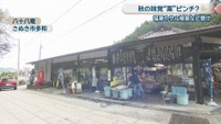 八十八庵　さぬき市多和兼割
