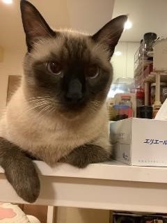 意外なギャップも愛くるしさ