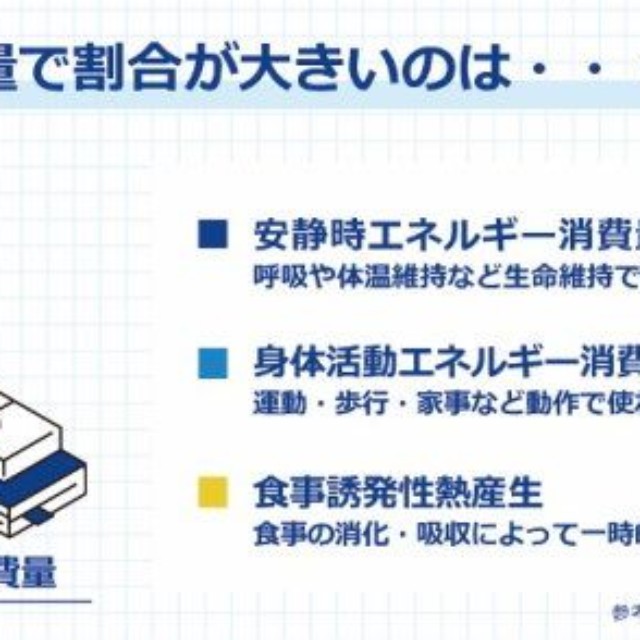 1日のエネルギー消費の割合が大きいのは？（提供画像）